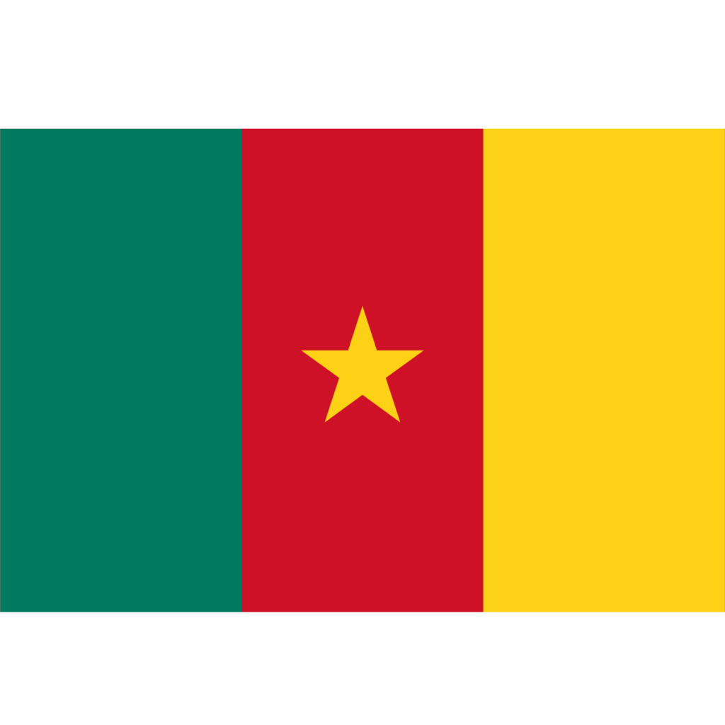 Drapeau du Cameroun représentant la cuisine camerounaise au restaurant